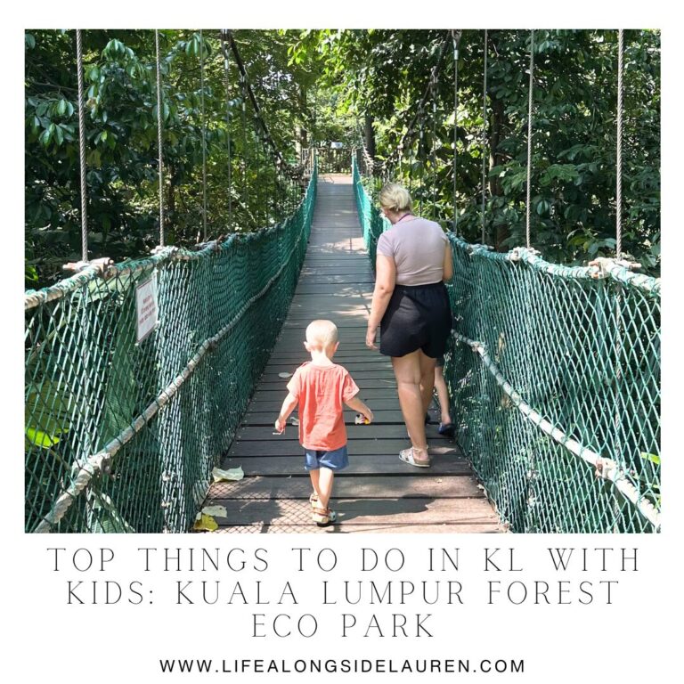 Things to Do in KL With Kids: Kuala Lumpur Forest Eco Park