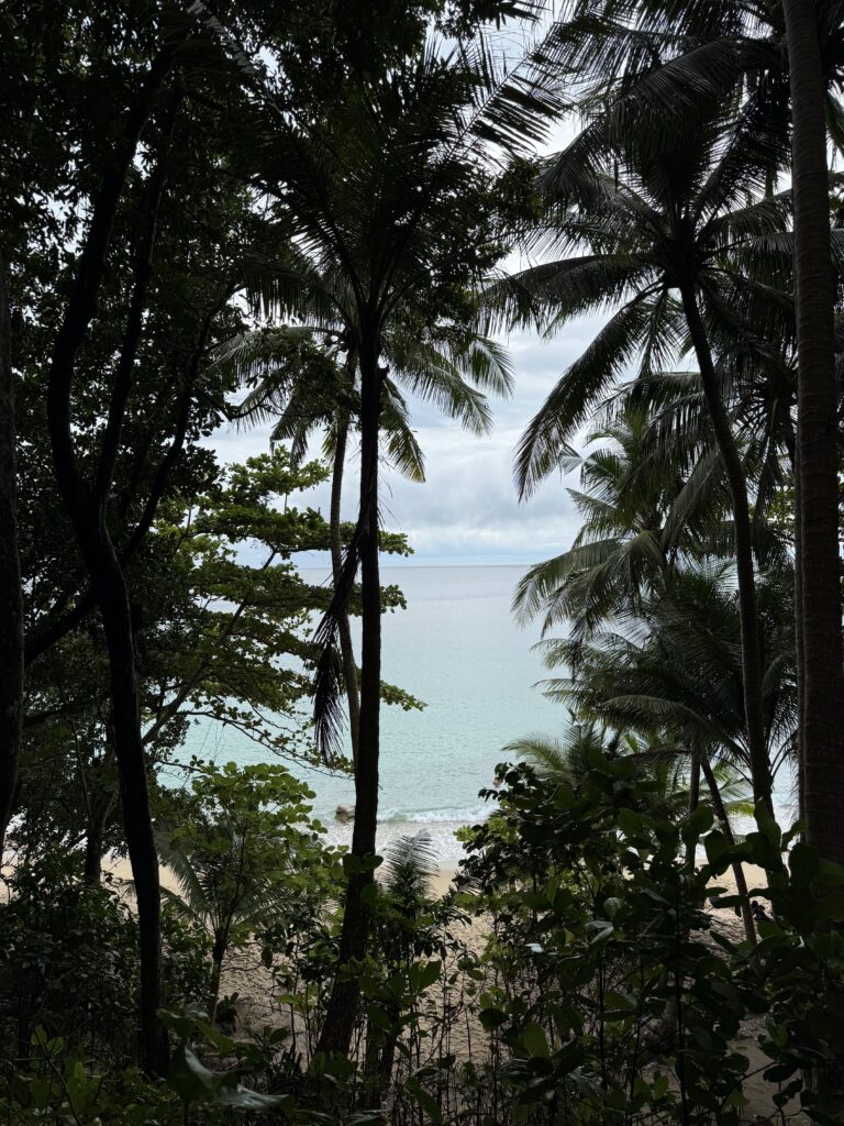 Koh Samui vs Phuket: Which is Better for Families?