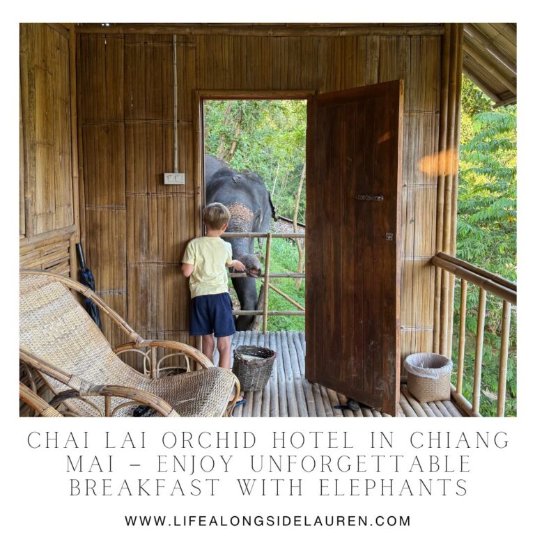 Chai Lai Orchid Hotel in Chiang Mai – Enjoy Unforgettable Breakfast with Elephants