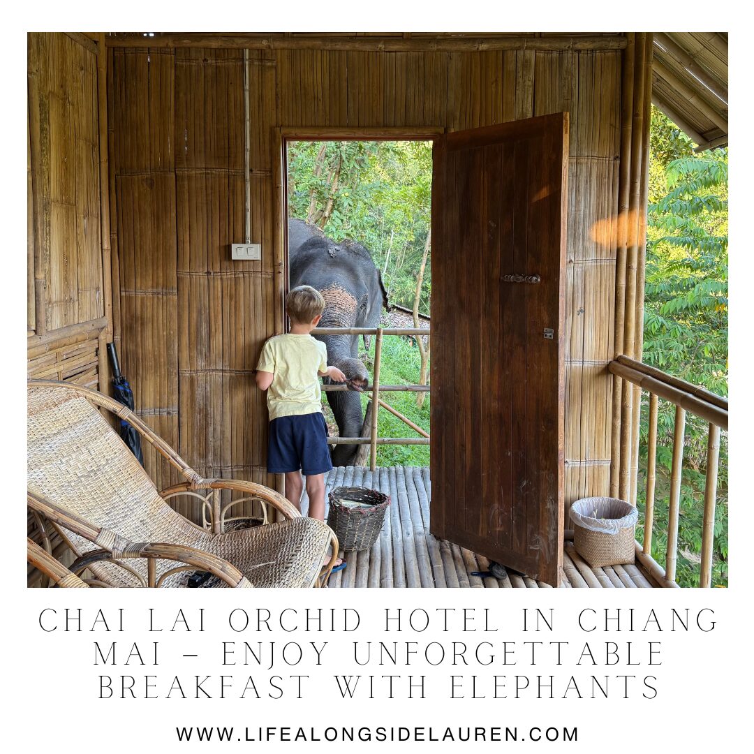 Chai Lai Orchid Hotel in Chiang Mai – Enjoy Unforgettable Breakfast with Elephants