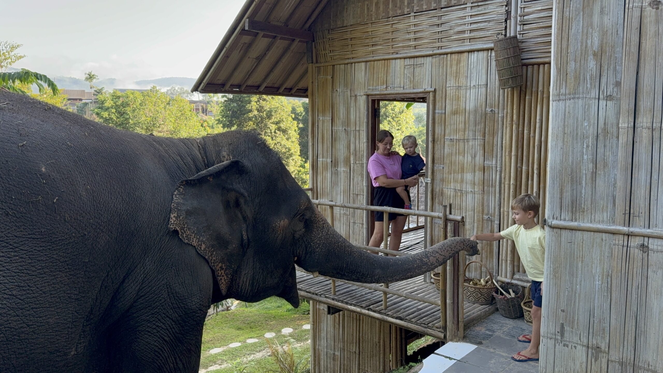 digital nomad family UK